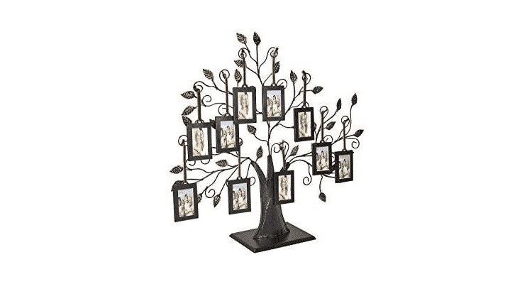 Family tree picture display-the family tree frame