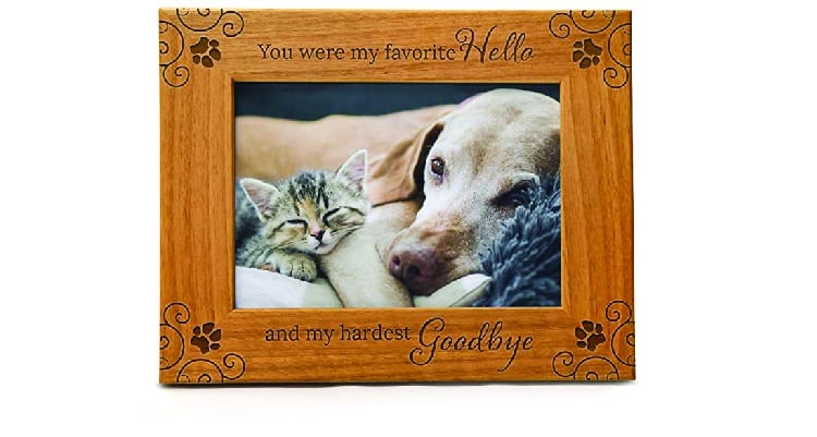 Birthday Gift Ideas For Mother-In-Law  - pet picture frame