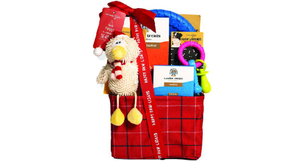 unique gifts for dog lovers - dog treat basket
