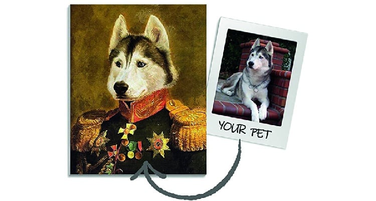 romantic gifts for new boyfriend - pet portrait