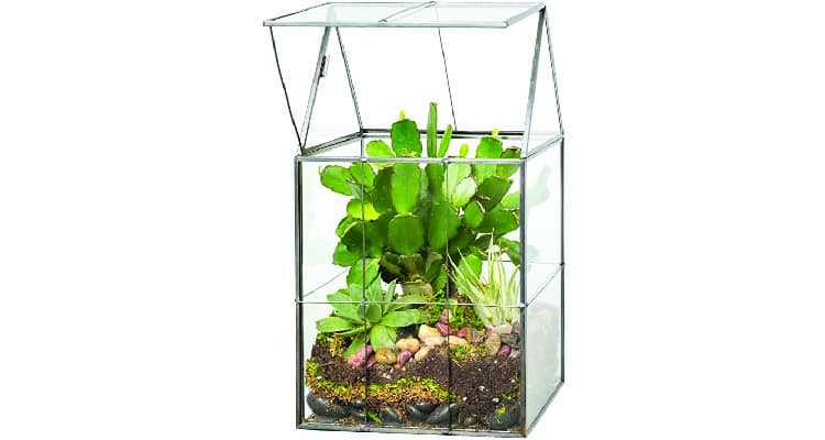 wedding gifts for older couples ideas terrarium kit