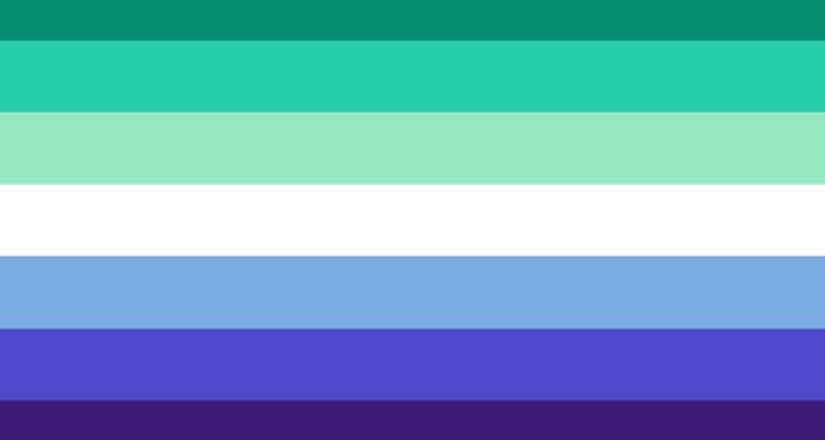 The revised and more inclusive gay men's flag