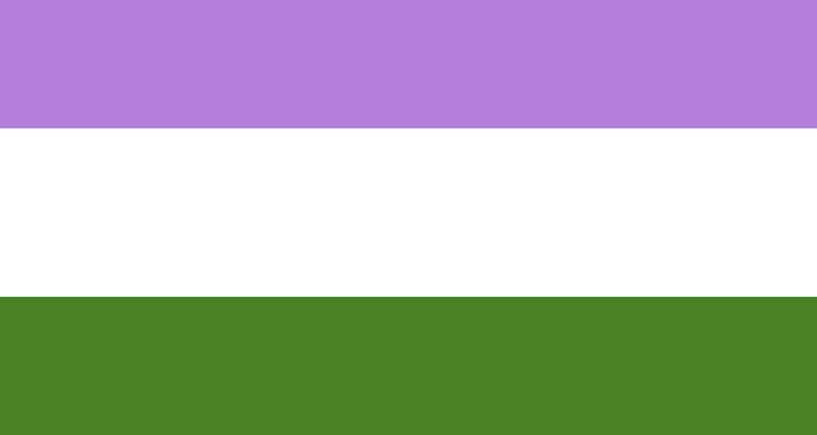 Genderqueer flag - inclusive of androgynous, agender and enby people