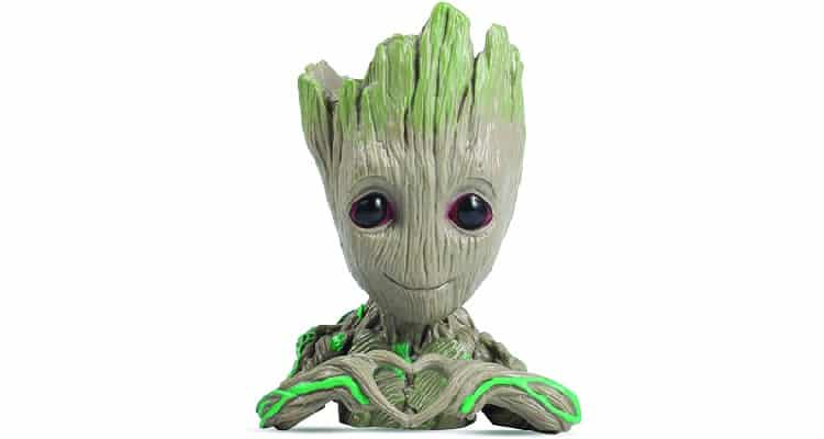 heart shaped gifts for him groot succulent