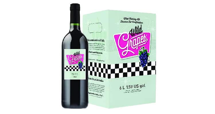 Christmas gifts for boyfriend's mom wine making kit