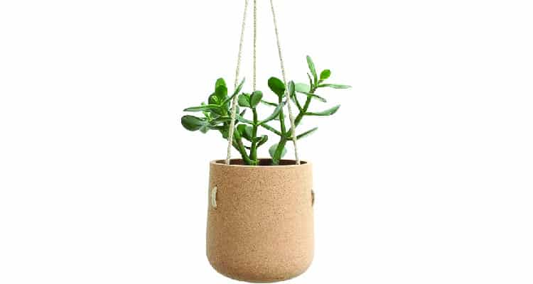 18 Best Eco Friendly And Sustainable Gifts For Her - 83