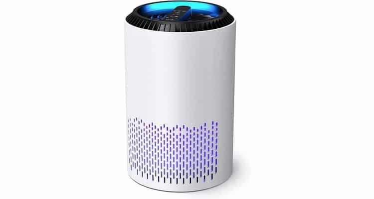 Top 14 Best Practical Gifts For Couples - Home air purifier