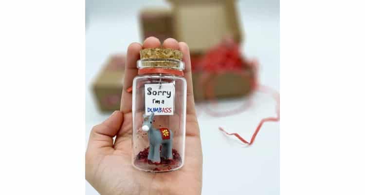 diy apology gifts for girlfriend - Apology gift miniature in a bottle