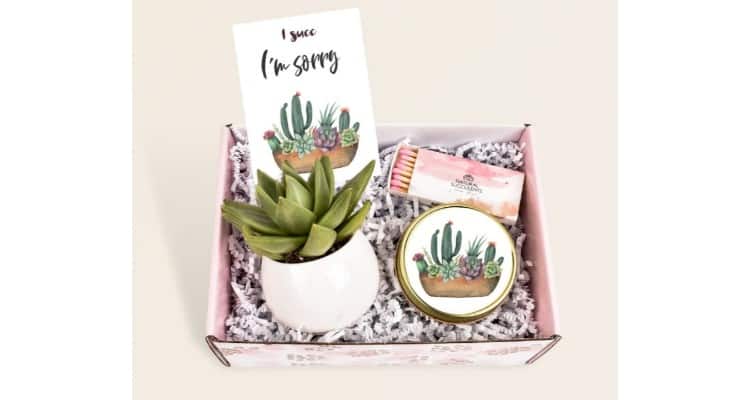 best I'm sorry gifts for her - I SUCC i'm sorry succulent 