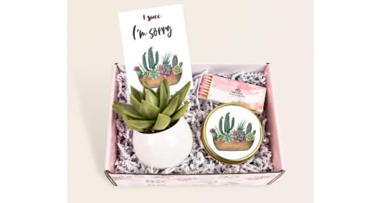 best I'm sorry gifts for her - I SUCC i'm sorry succulent