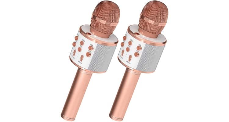 romantic date ideas at home - karaoke microphone