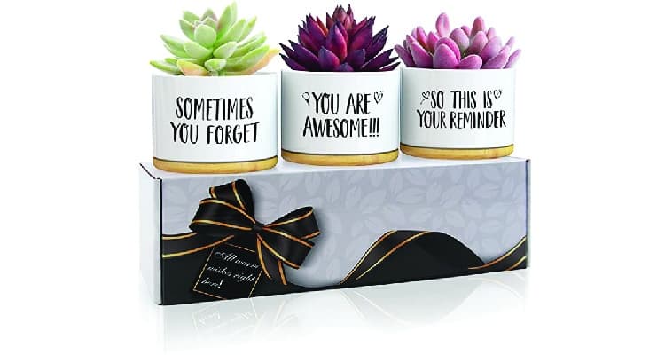 Thinking of you gifts succulent flower pots