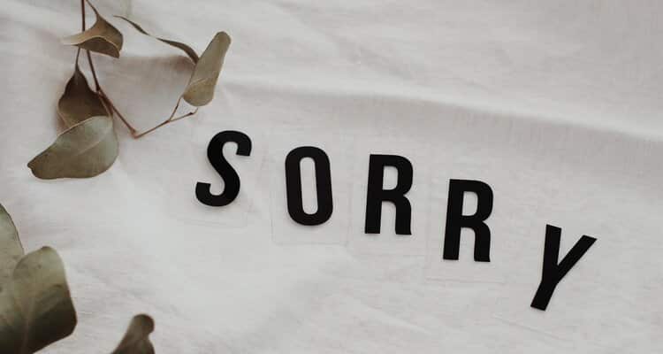 apology language