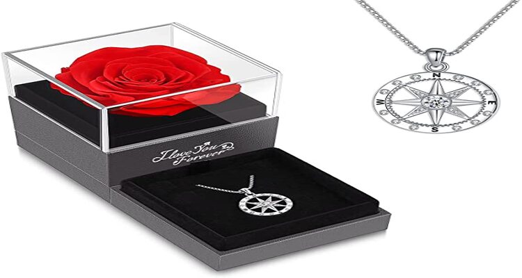 necklaces with special meaning- compass