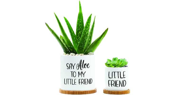funny gifts for couples plant pot set