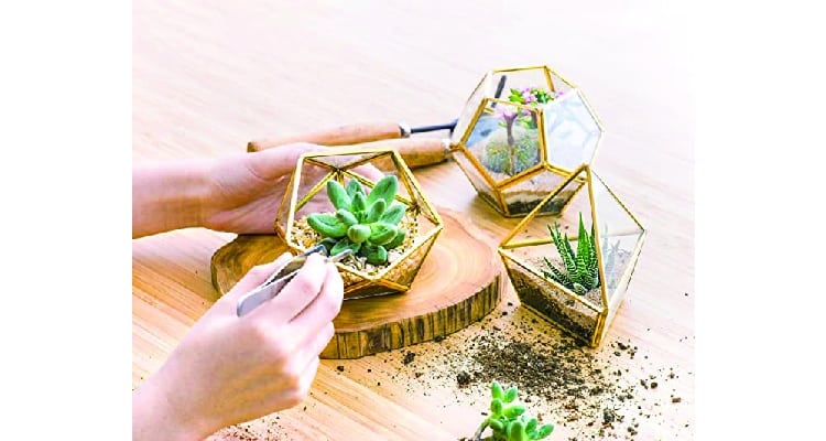 gift ideas for counselors - plant terrarium