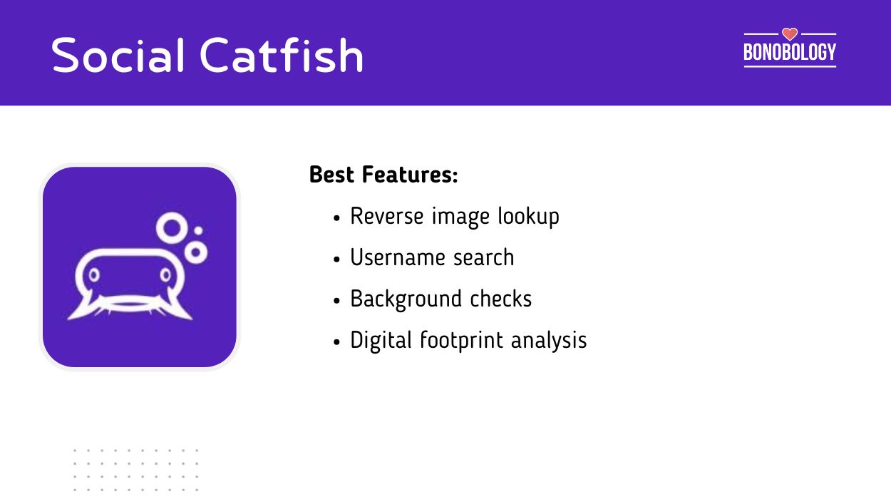 Social Catfish