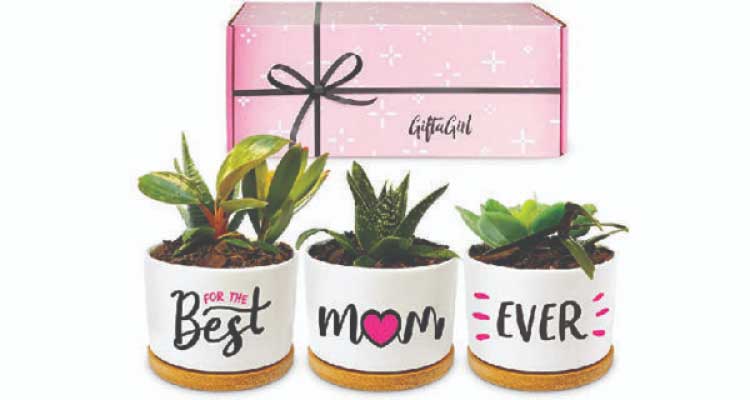 Birthday gift ideas for mom from son- Pots