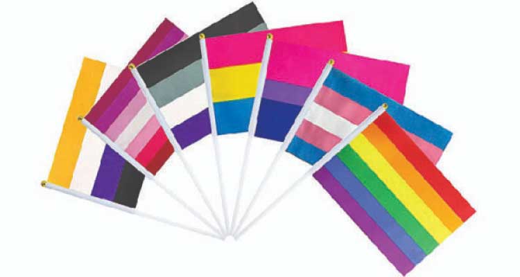 Gay pride decorations: Pride flags