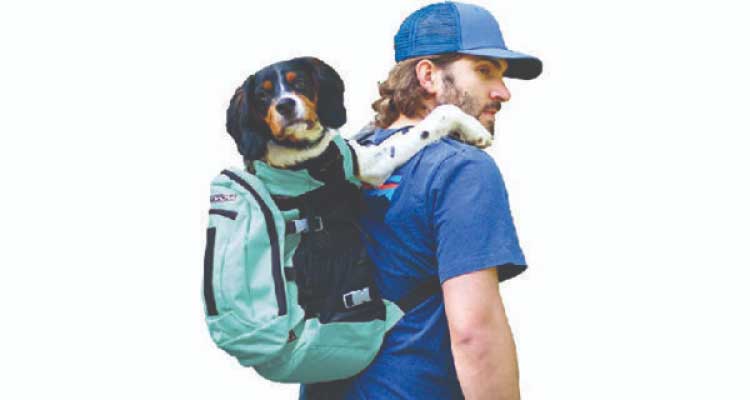 unique gifts for dog lovers - dog carrier backpack