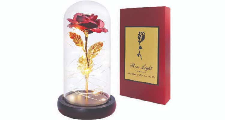 Gift for women who have everything: Rose light