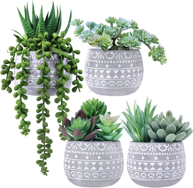 cheap wedding gift ideas for couple already living together - succulents