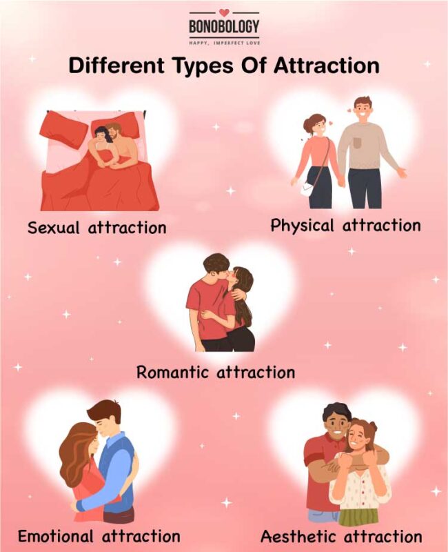 infographic on types of attraction