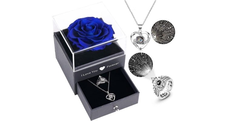 Enchanted real rose with a heart necklace