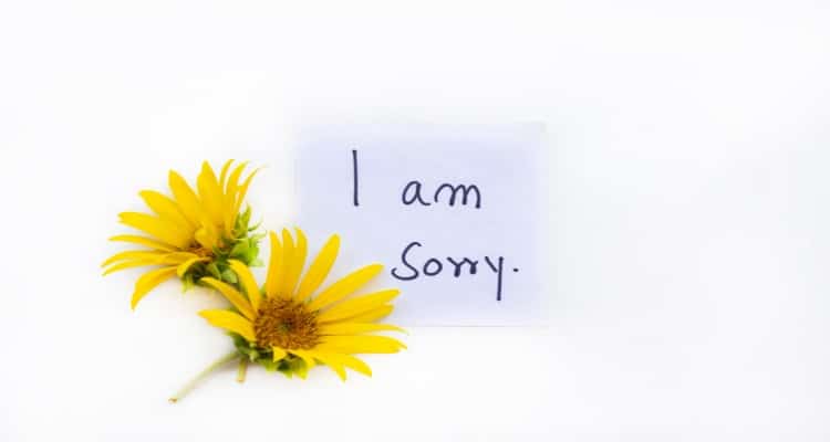 Apologize to someone