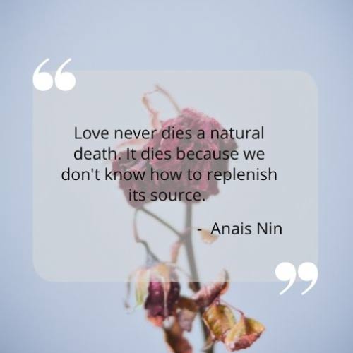 love never dies