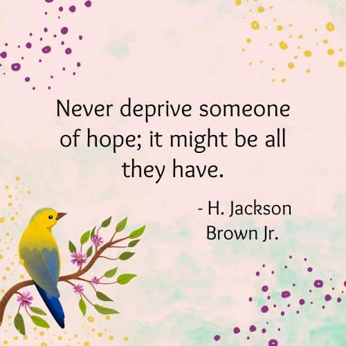 All you have