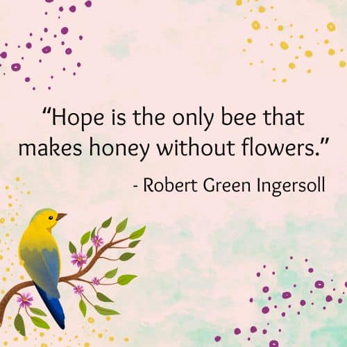 Makes honey without flower
