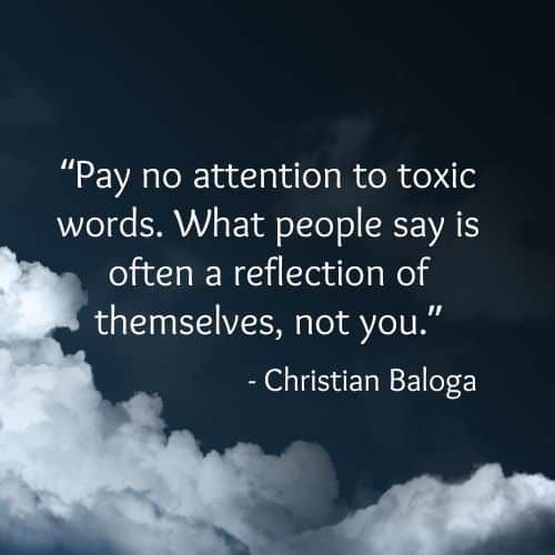 Pay no attention to toxic words