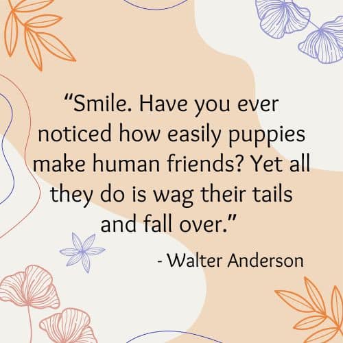 Smile