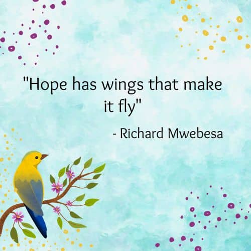 Wings