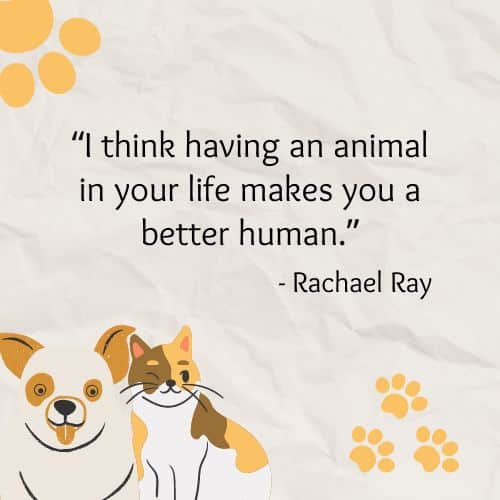 Become better human