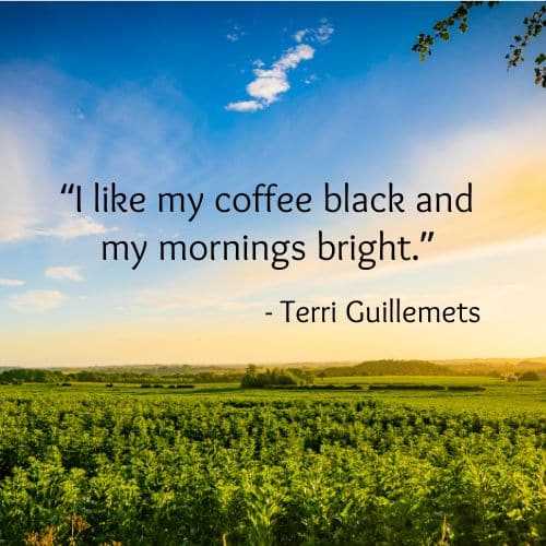 Bright Morning