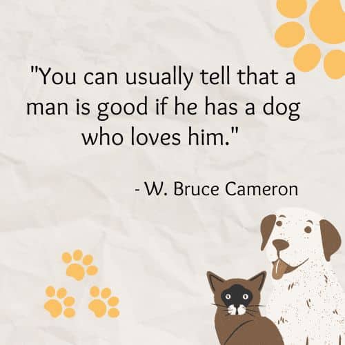 You can usually tell that a man is good if he has a dog who loves him