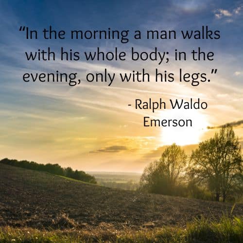 Evenings