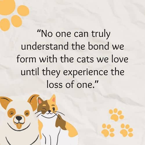 No one can truly understand the bond we form with the cats we love until they experience the loss of one