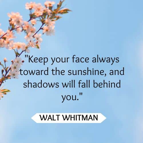 Face the sunshine
