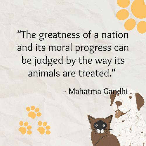 Greatness of a nation