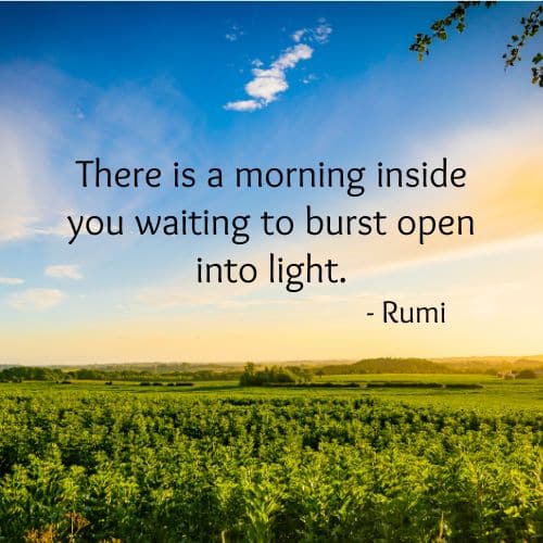 Inside Morning