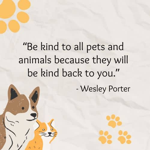 Kindness