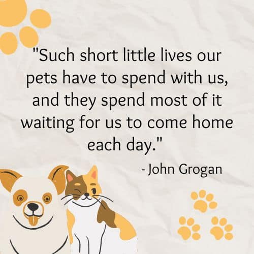 Little Lives