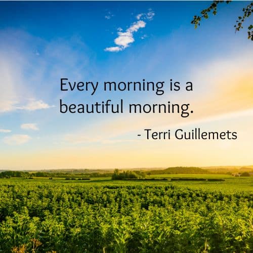 Morning