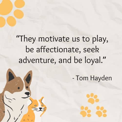 Motivation