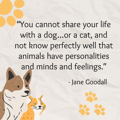 You cannot share your life with a dog…or a cat, and not know perfectly well that animals have personalities and minds and feelings