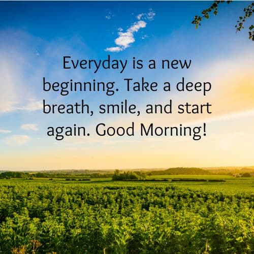 New Beginning