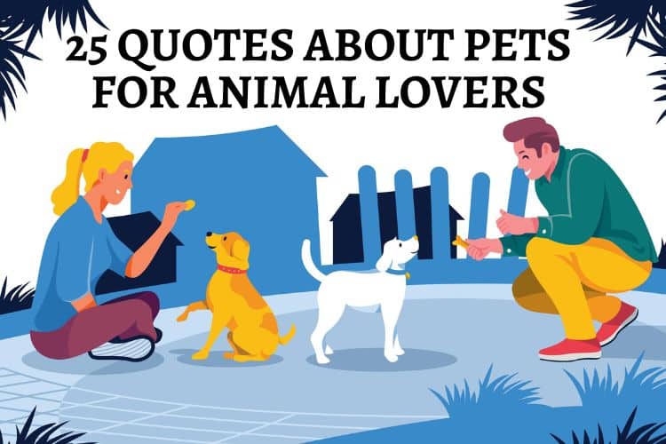 25 Quotes About Pets for Animal Lovers